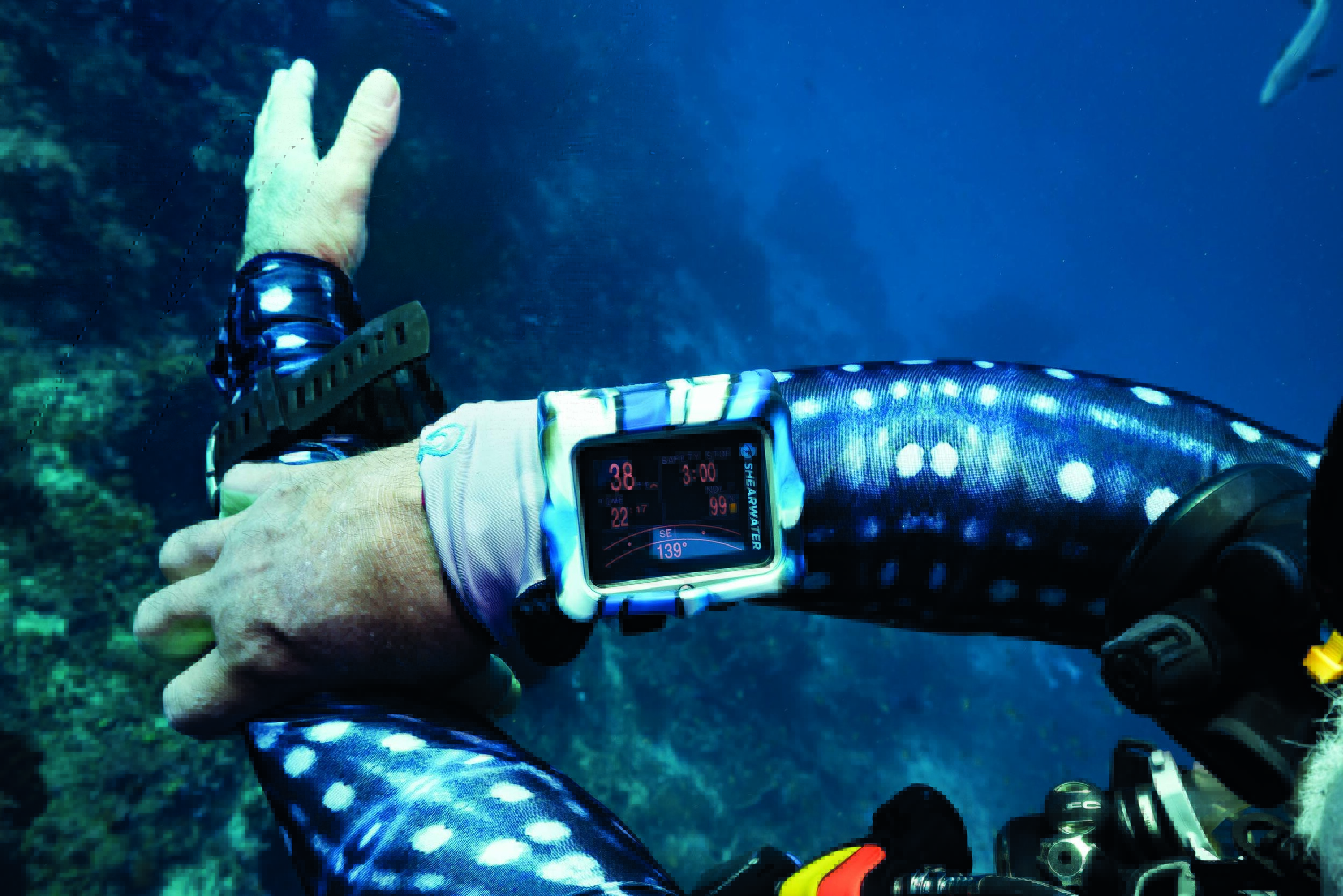 About Divers Alert Network: Essential Dive Safety